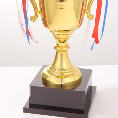 Luxury Metal Award Trophy Cup