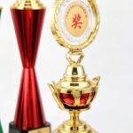 Custom Plastic Trophy 02