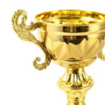 Custom Plastic Trophy 03