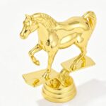 Trophy Accessory 03