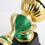 Custom Plastic Trophy 05