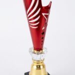 Custom Plastic Trophy 08