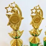 Custom Plastic Trophy 11