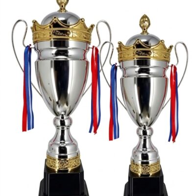 Custom Metal Trophy 01