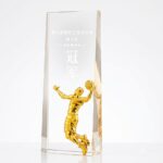 Custom Crystal Trophy 02