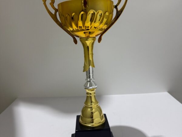Custom Metal Trophy 02
