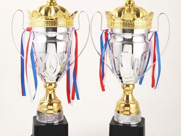 Custom Metal Trophy 03