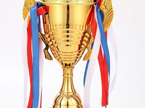 Custom Metal Trophy 04