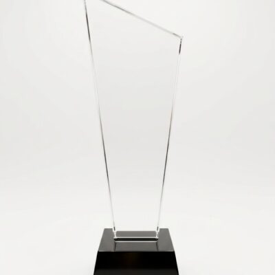fora-005 Custom Crystal Trophy 05