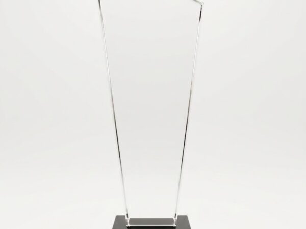 Custom Crystal Trophy 05