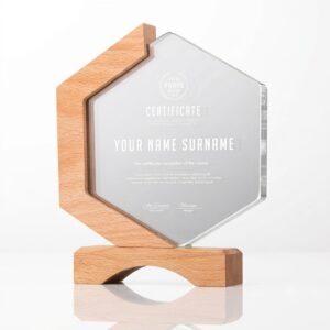 Custom Crystal Trophy 07