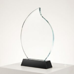 Custom Crystal Trophy 09