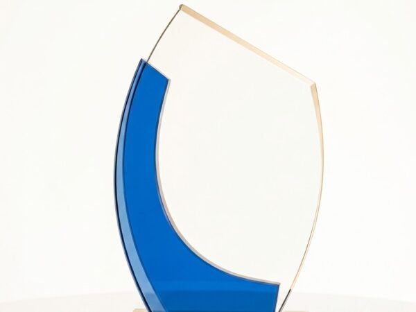 Custom Crystal Trophy 11