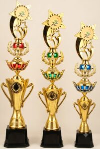 Custom Plastic Trophy 13