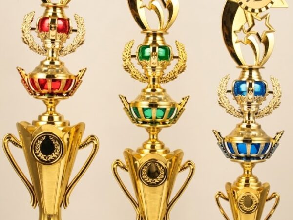 Custom Plastic Trophy 13