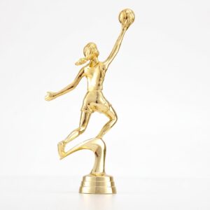 Trophy Accessory 14