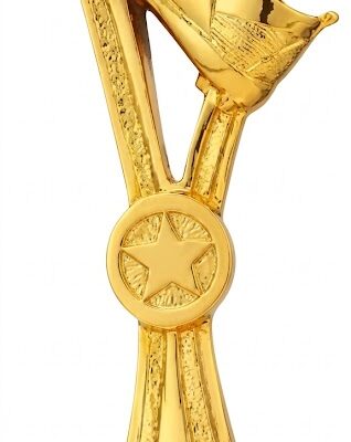 Custom Resin Trophy 14