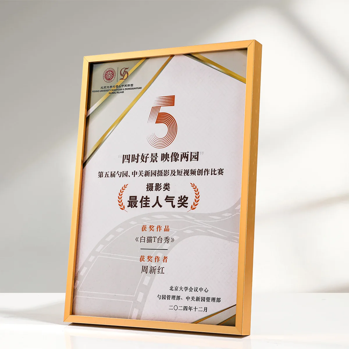 A4 Insert Metal Frame Plaque