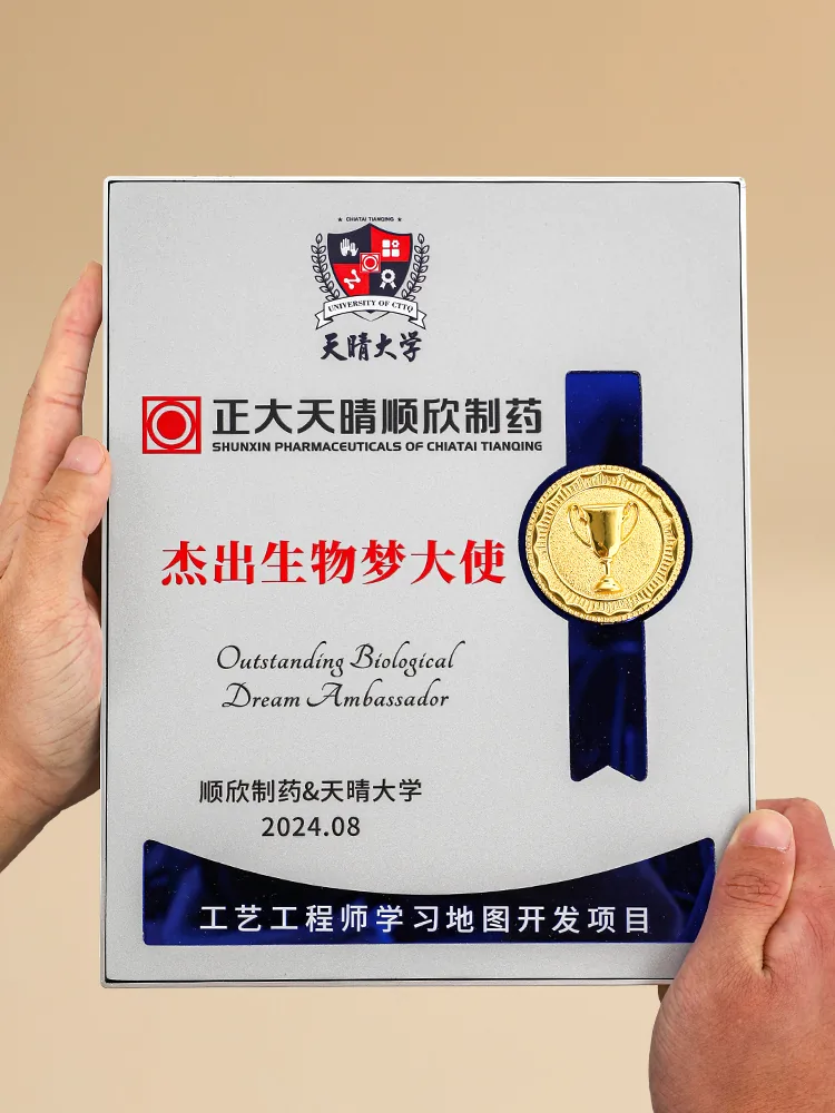 Silver Frame Ribbon Award Plaque
