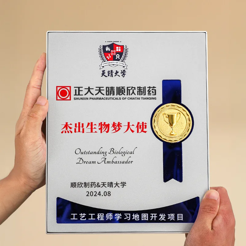 Silver Frame Ribbon Award Plaque
