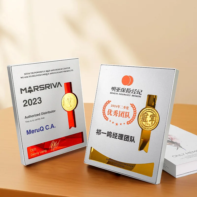 Silver Frame Ribbon Award Plaque