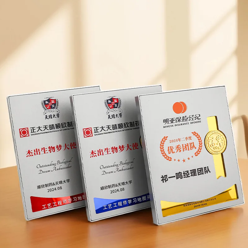 Silver Frame Ribbon Award Plaque