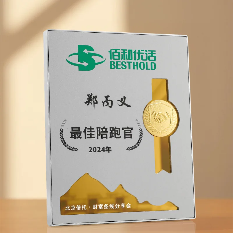 Silver Frame Ribbon Award Plaque