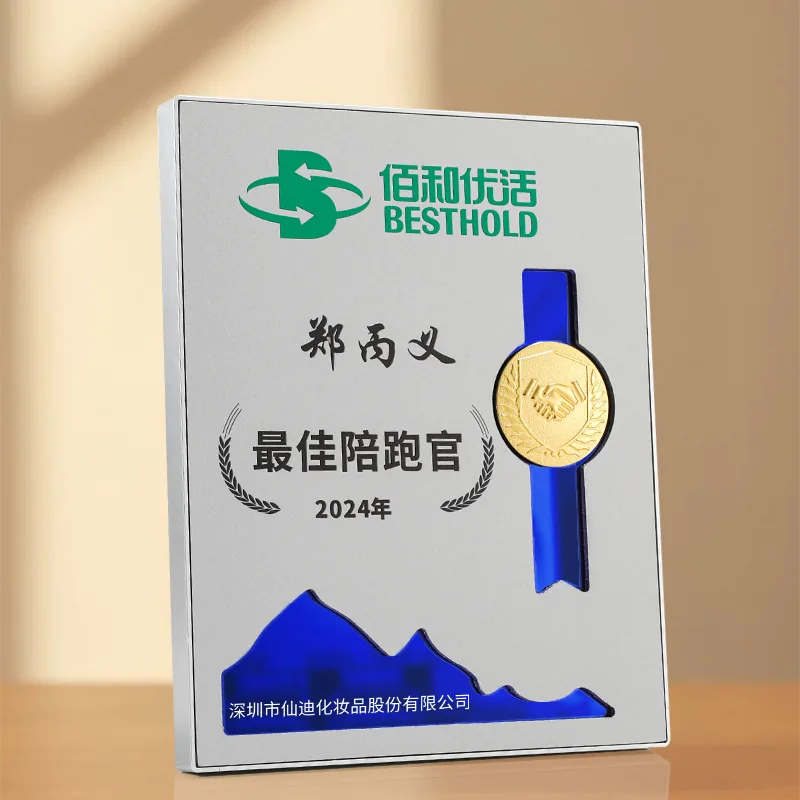 Silver Frame Ribbon Award Plaque