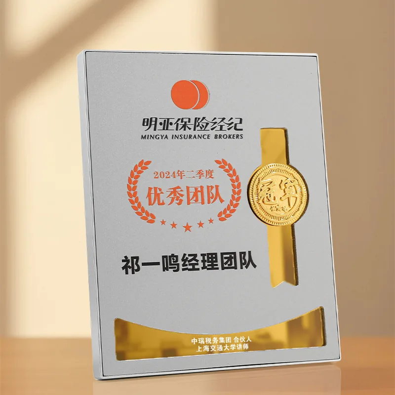 Silver Frame Ribbon Award Plaque