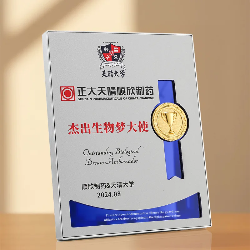 Silver Frame Ribbon Award Plaque