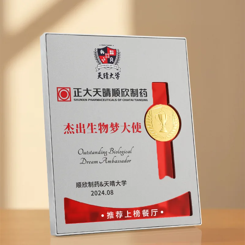 Silver Frame Ribbon Award Plaque